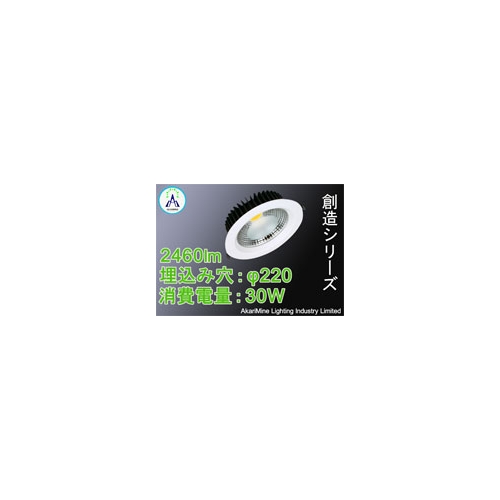 LEDダウンライト COB光源 省エネ 高効率 φ210-235 30W 2460lm AM-SouzouA30CK