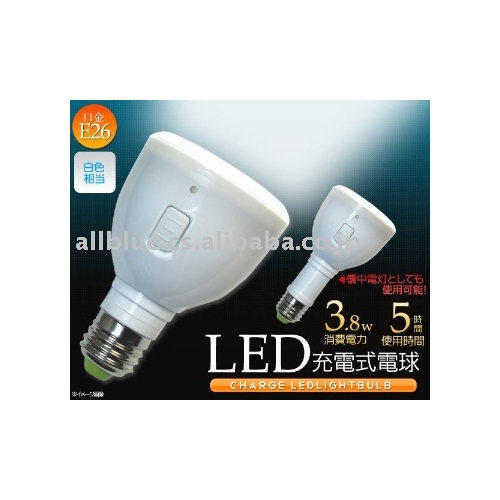 充電式LED電球 ライト 懐中電灯 ab-led001