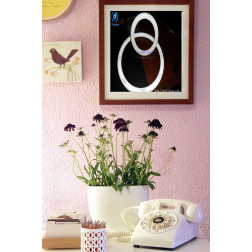 丸型蛍光灯 FS-HXD-225XW144(U)