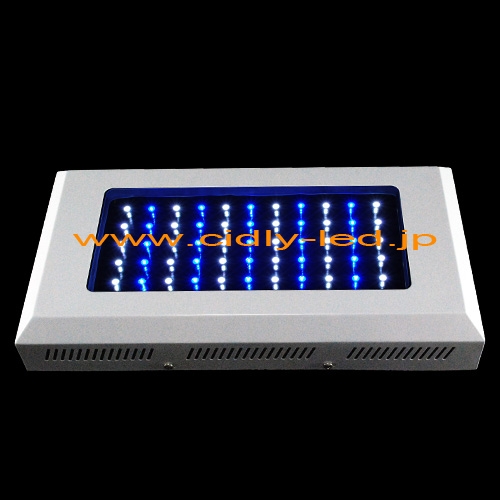 高輝度低価格(120w)LED アクアリウムライト CDL-A55X3w