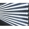 日本向け LED直管蛍光灯 6W CW-LED/5050-60 画像