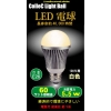 OEM/ODM(カスタム対応品) LED製品全般 画像