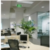 高効率T8LED蛍光灯20W1.2m FS-T8-4xW300-Bx2(P) 画像