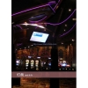 外観景色用LEDストリップライト FS-WPF3528SR30-12(p) 画像