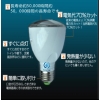 応急電球