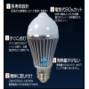 センサ感知電球 FS-GBULB-4XW(U) 画像