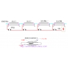 (日本向け)RGB 舞台 広場用Led照明灯 FS-TGD-SNXX-P36(AL290235)(U) 画像