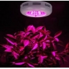 180W UFO植物育成ライト KT-UFOZ-1804W-ODD 画像