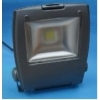 IP66 向け 高品質LED50W投光器