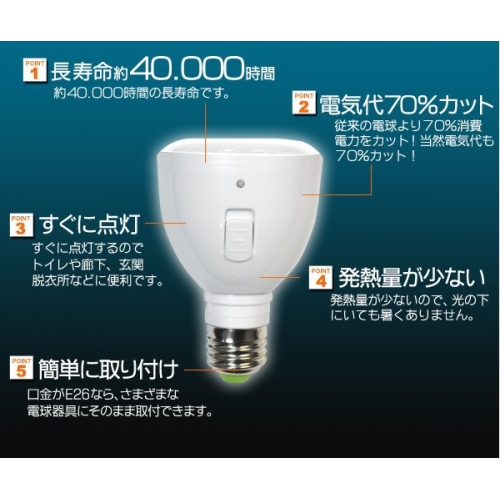 2WLED 便利な充電式バルブ CC-0505SS-02WSL